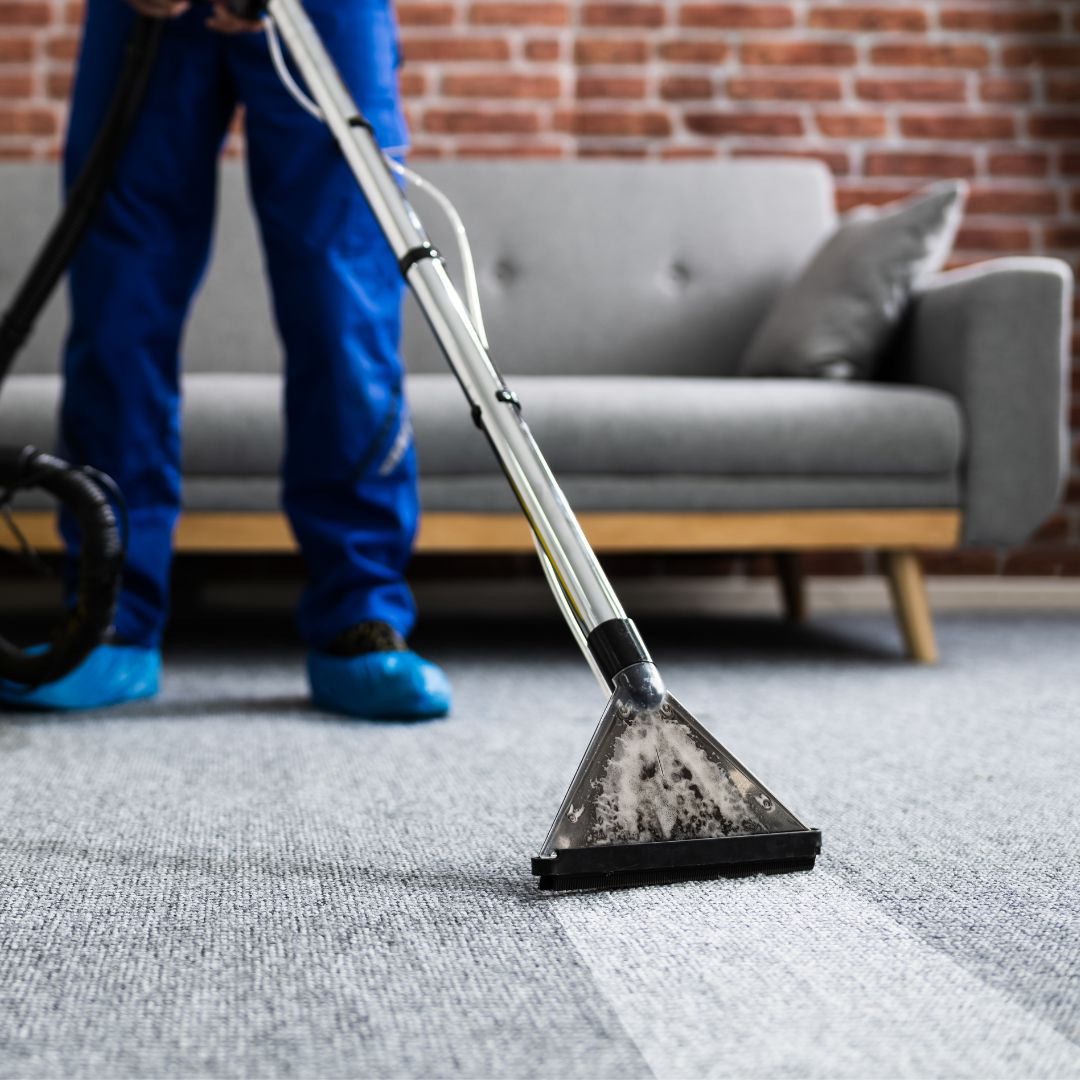 What Makes Us Seattle’s Rug Cleaner of Choice? D.A. Burns & Sons