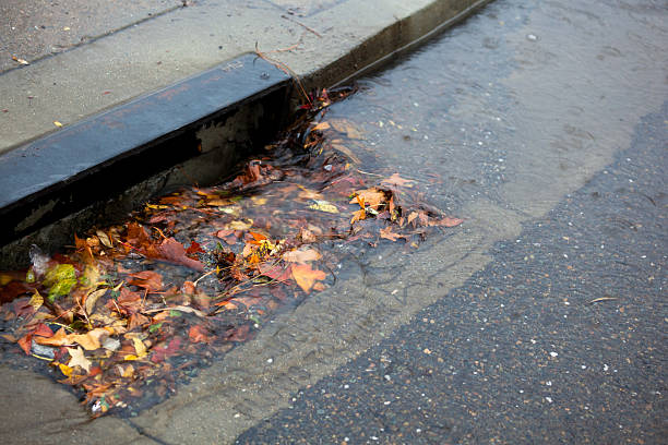 drain-blocked-by-leaves.jpg