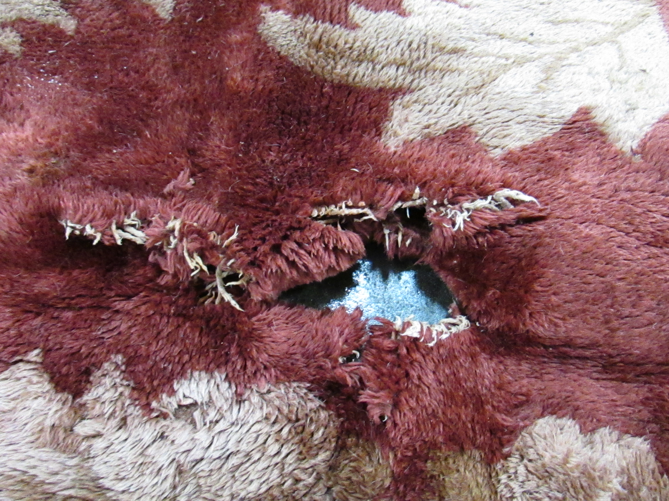 dry-rot-cant-save.jpg
