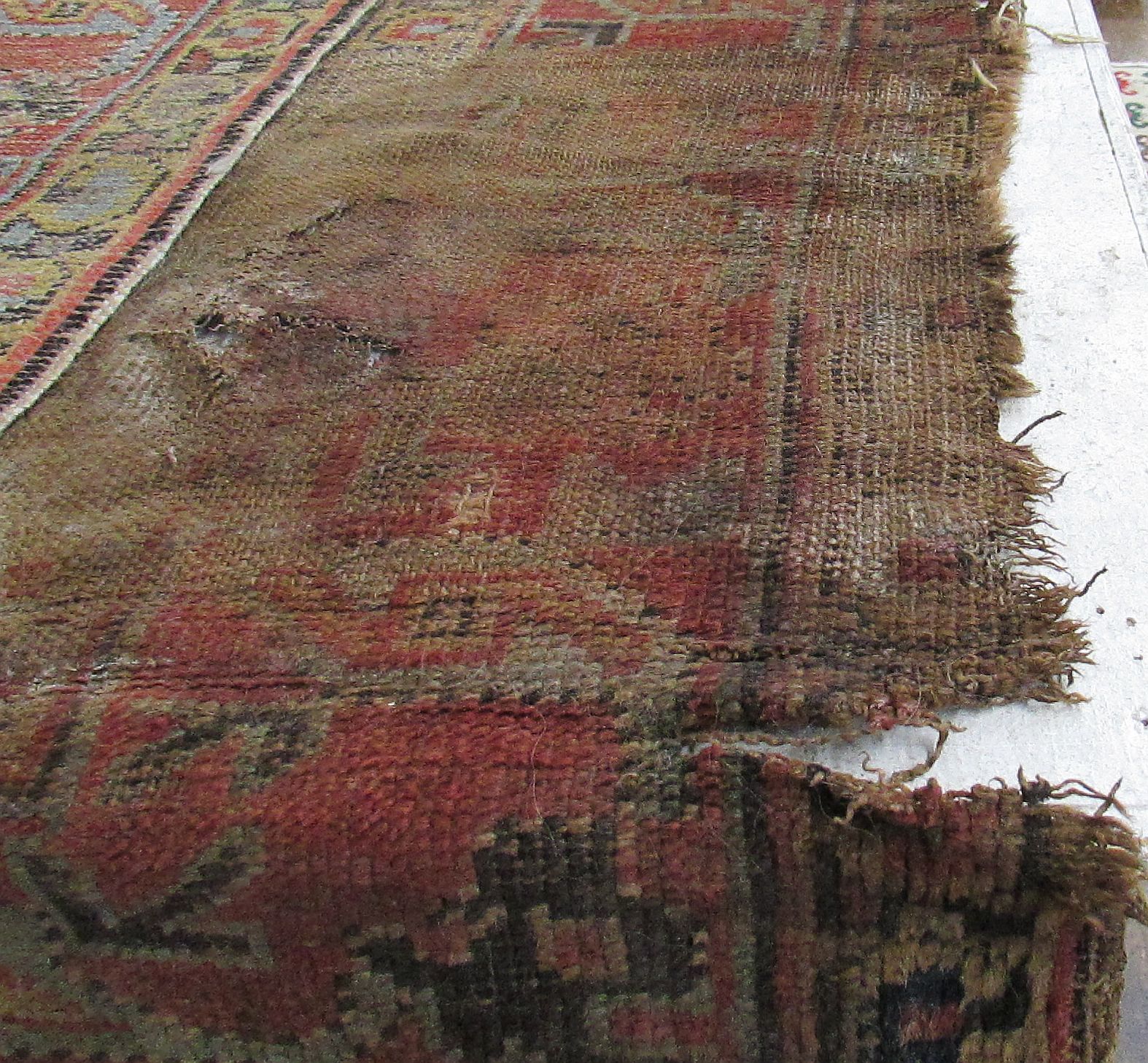 runner-dry-rot.jpg