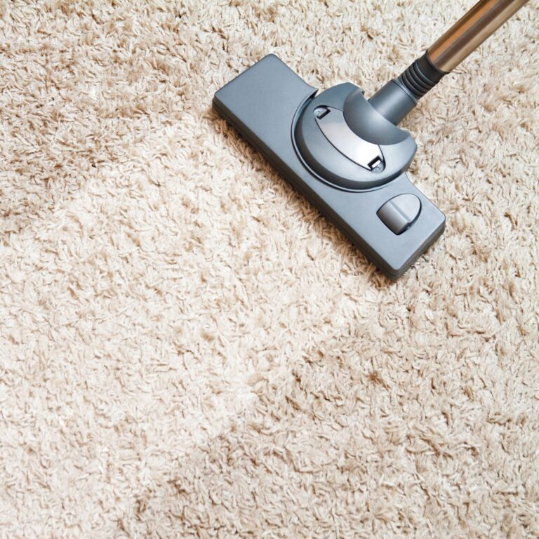 Signs You Need Professional Carpet Cleaning D.A. Burns