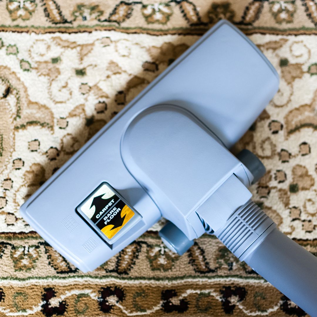 Oriental rug being cleaned with professional equipment. 