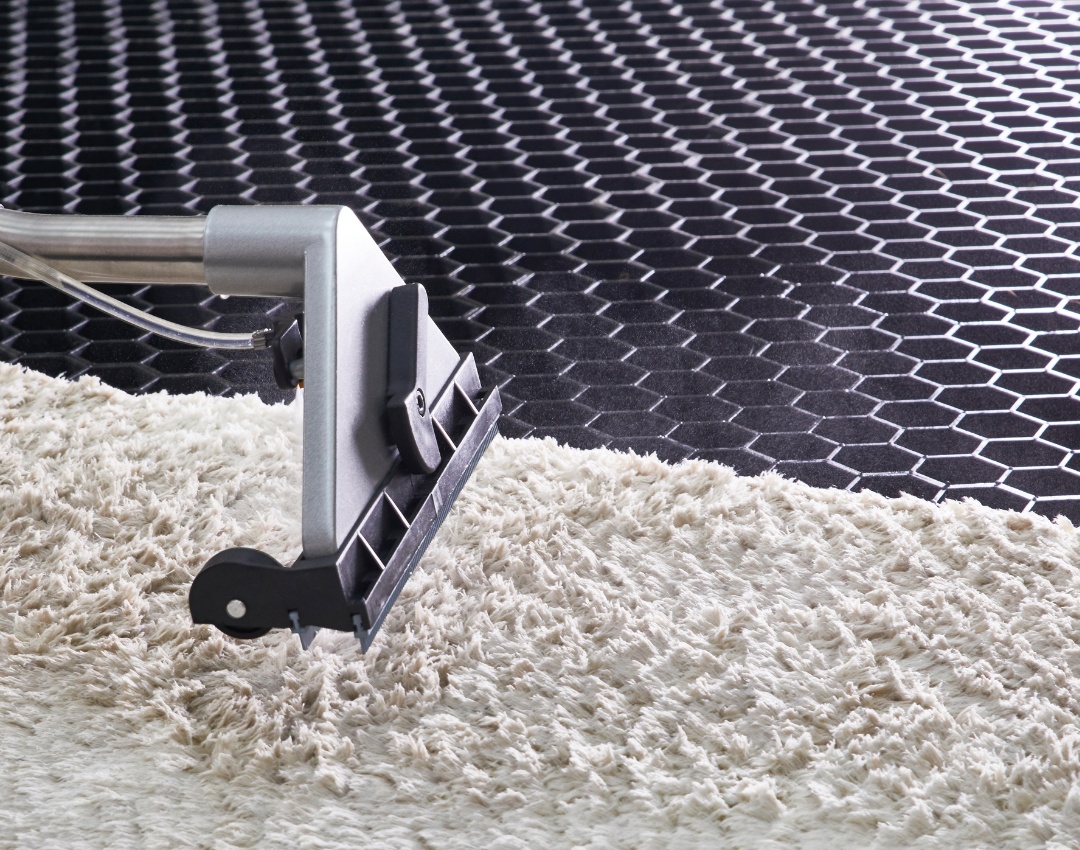 Area Rug Cleaning - IMG4