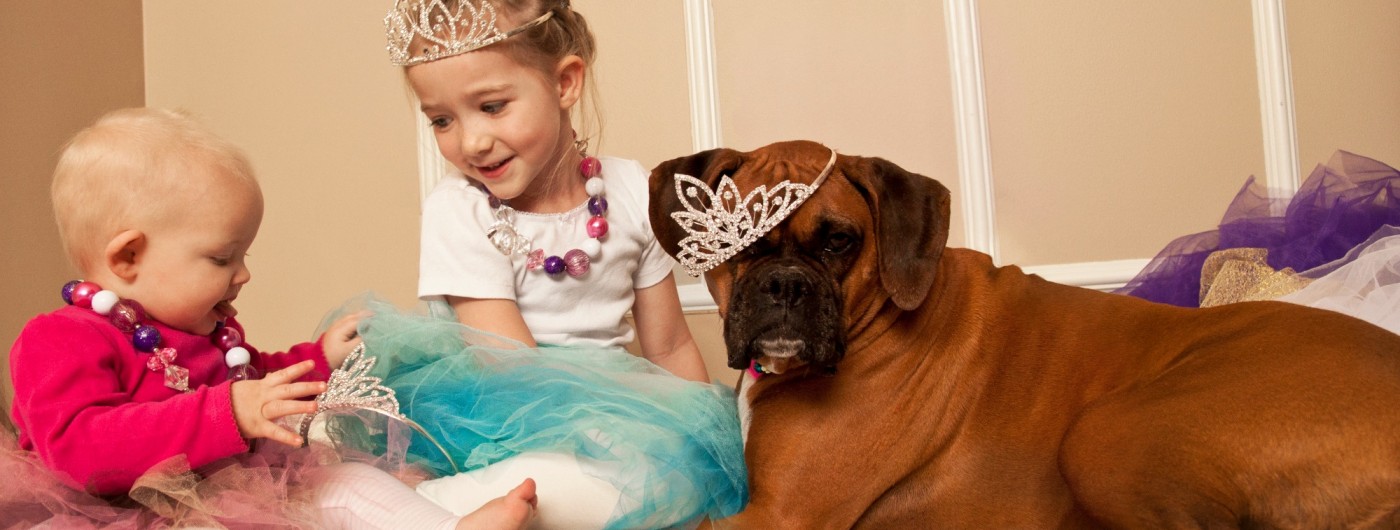 Cleaning Specialties D.A. Burns & Sons