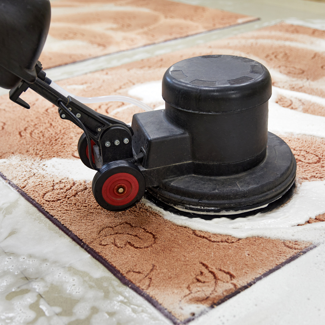 An area rug being scrubbed