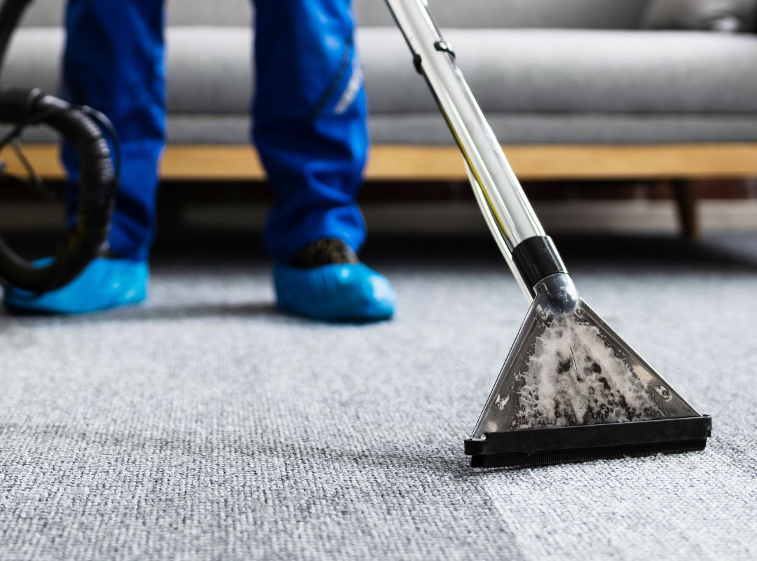 a carpet being shampooed