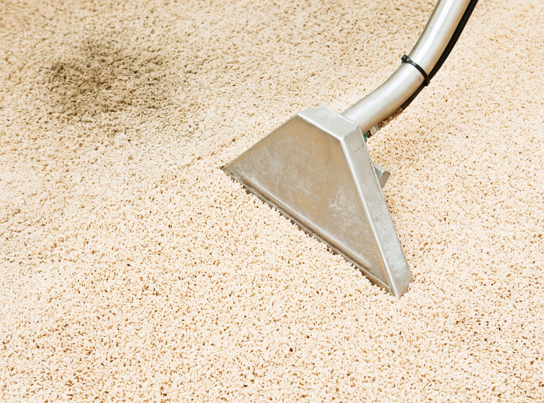 carpet being cleaned