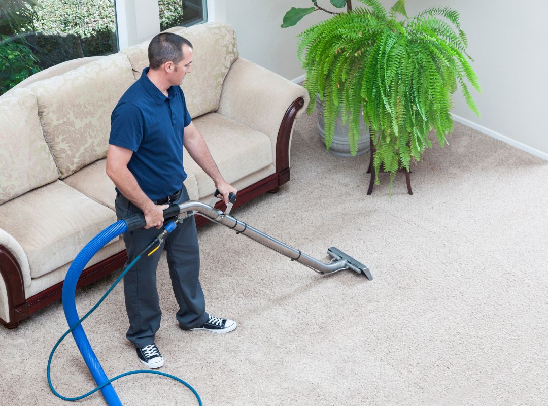 a large area of carpet being vacuumed
