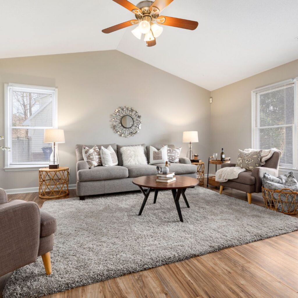 rug in living room