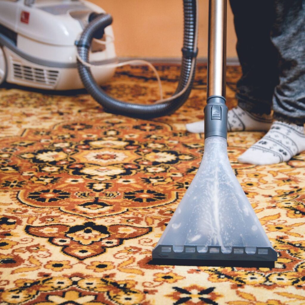 steam cleaner on rug
