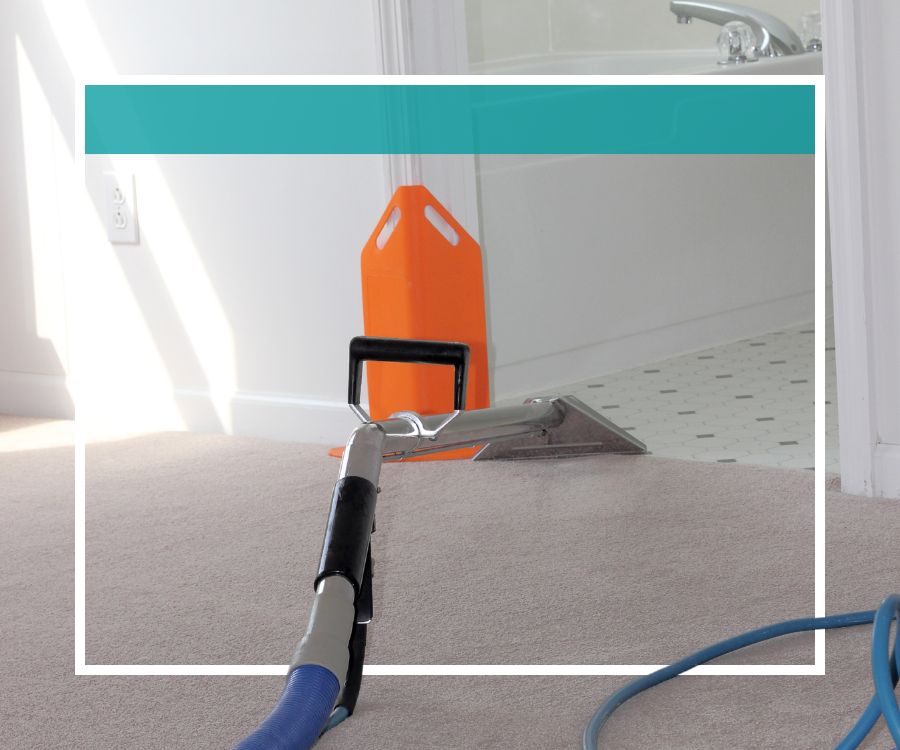 deep cleaning carpet
