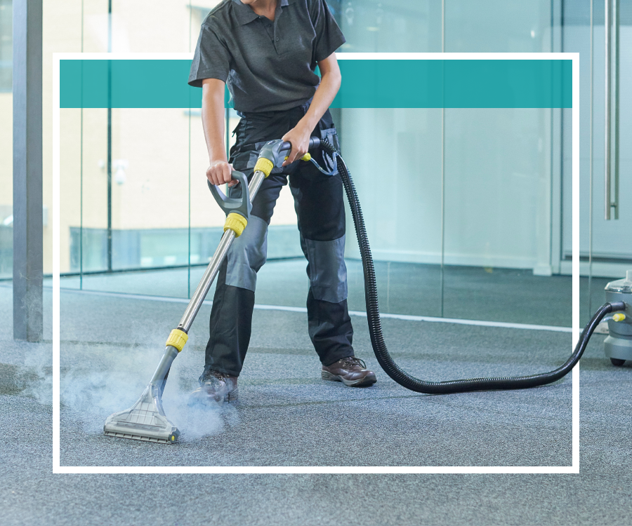Expert Carpet Cleaning